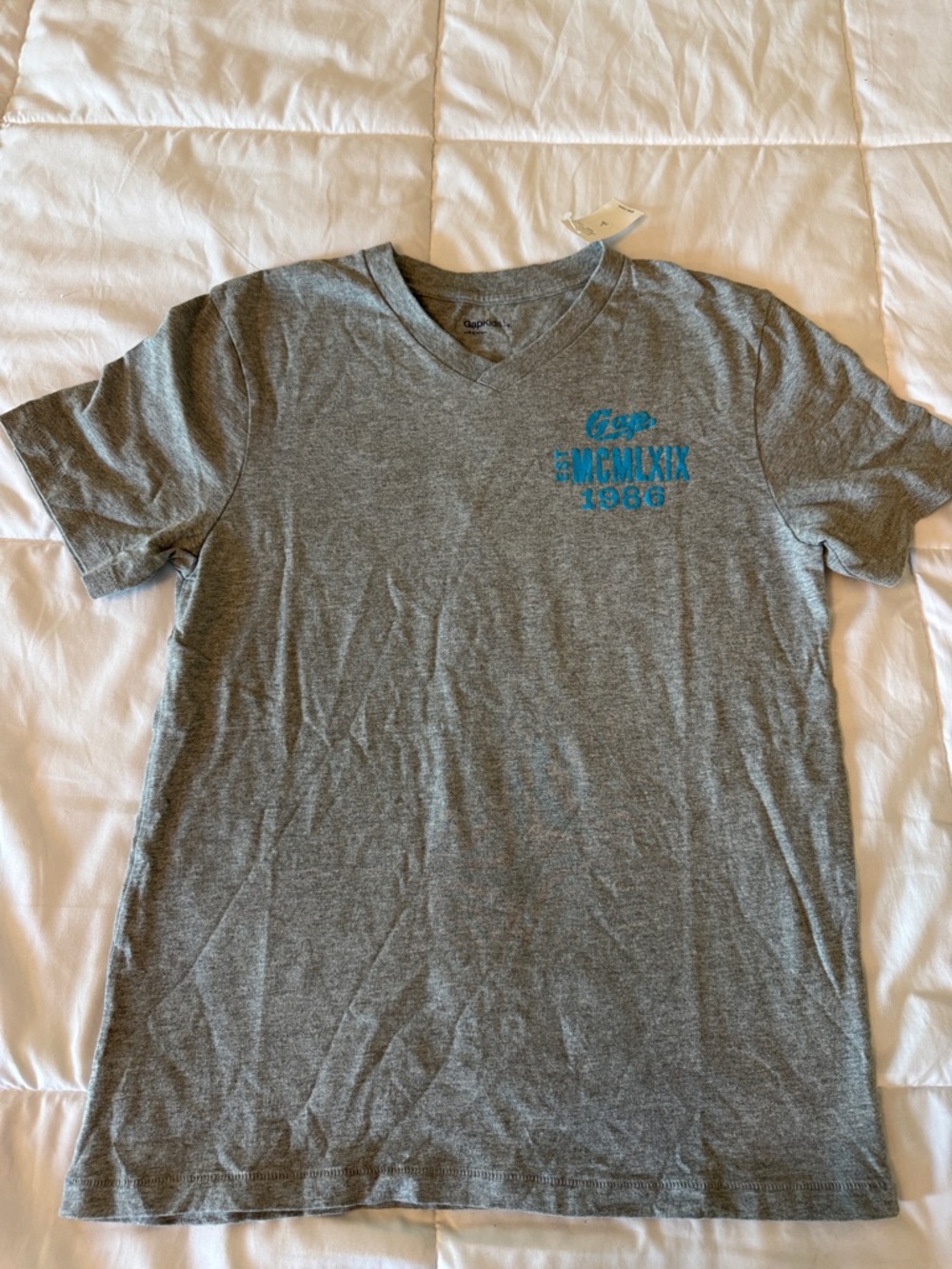 GAP Gray V-Neck Tee with Blue Chest Print